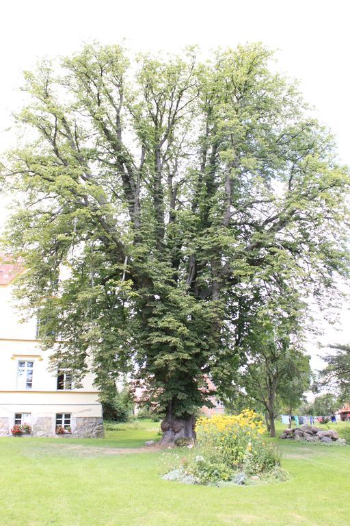 Schloss Lelkendorf - Fewo Parkblick Exterior photo